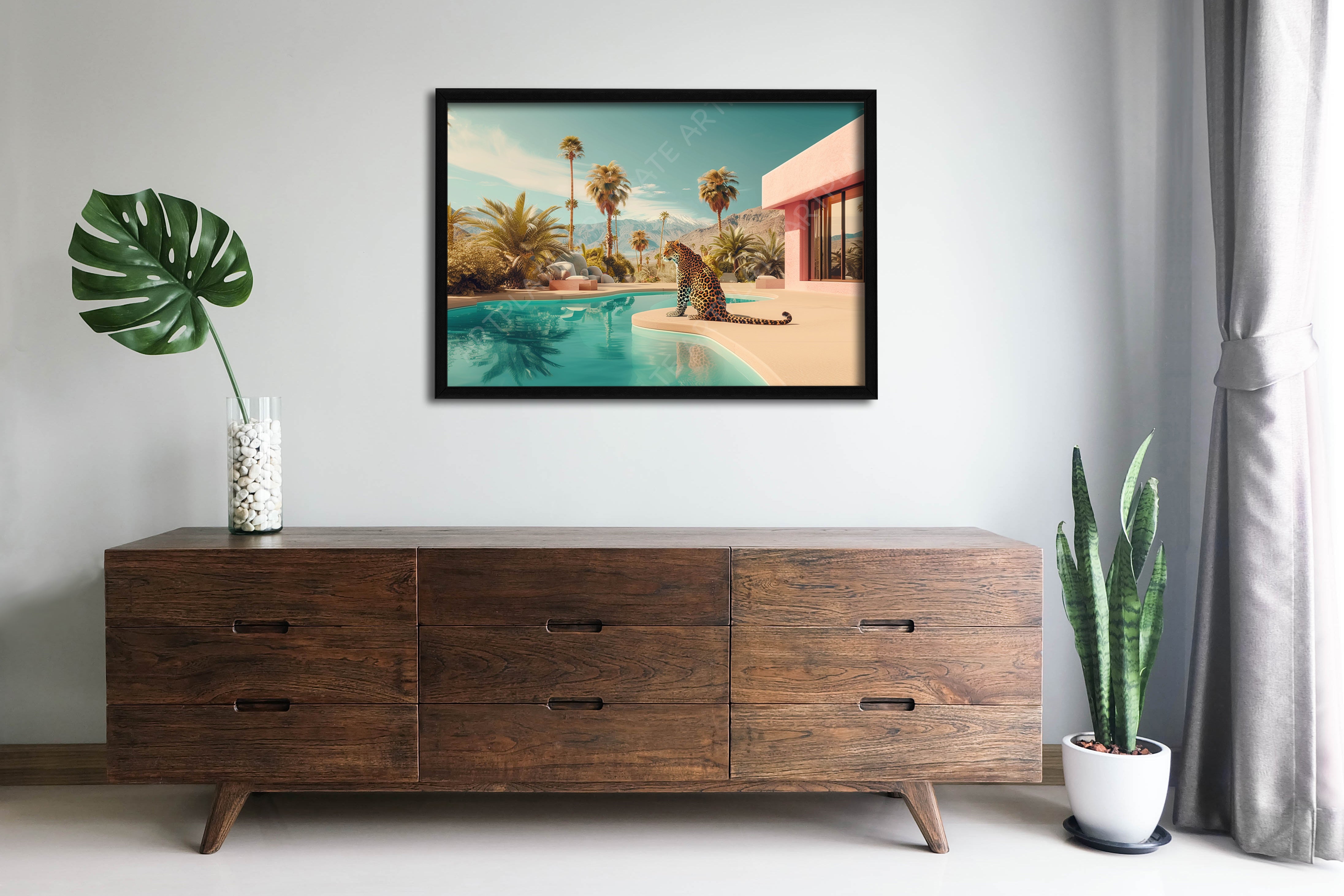 Léopard à Palm Springs 2