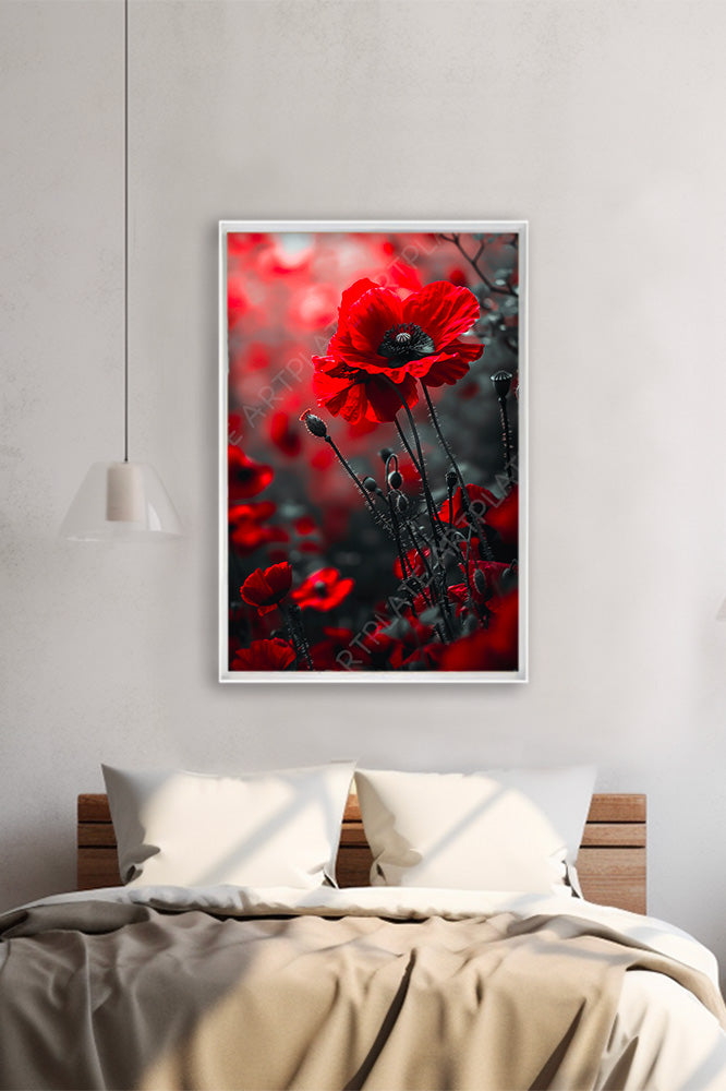 Danse des Coquelicots