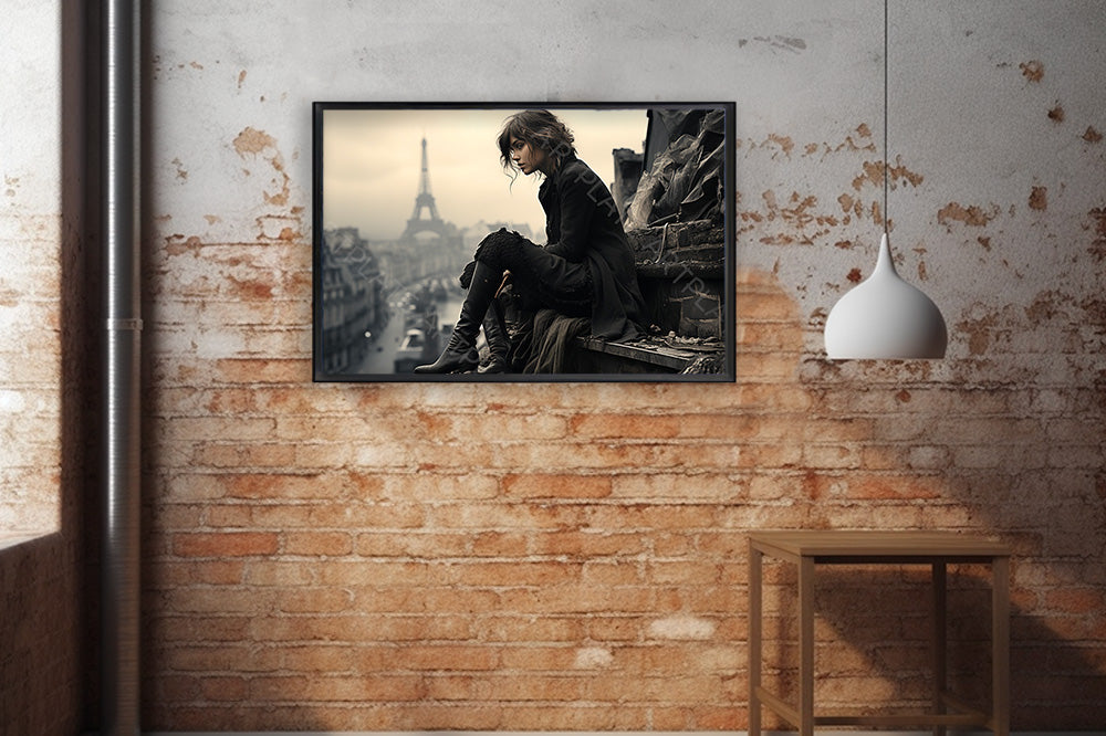 Rêverie sur les toits de Paris 2